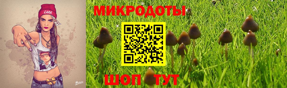 Берёзовский  Галлюциногенные грибы Psilocybe  Вход с VPN 