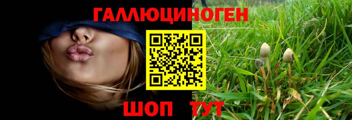 Псилоцибиновые грибы мицелий Берёзовский