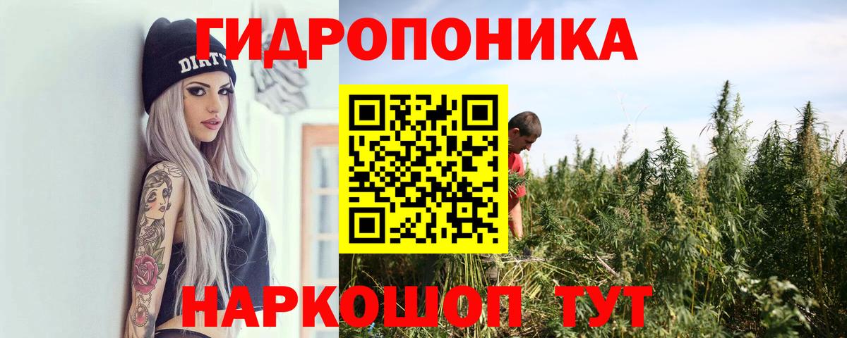 Бошки Шишки план  Бошки марихуана гибрид  Марихуана Bruce Banner  Берёзовский  МАРИХУАНА THC 21%  Вход с VPN 